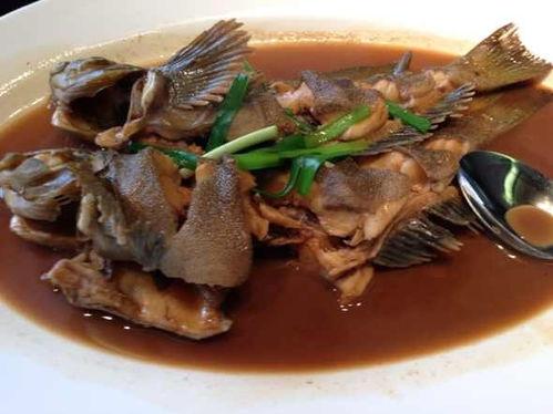 鱼吃食视频,揭秘水下美食盛宴
