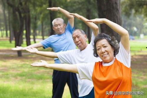 老年人运动视频,老年人运动视频精选教程解析