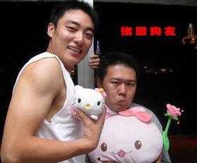 猪视频表演,萌宠才艺秀，欢乐无限