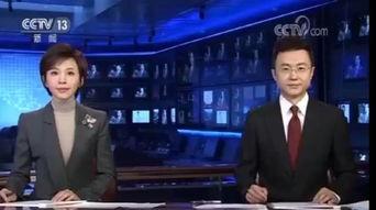 合肥新闻联播回放视频,聚焦城市发展动态与民生热点