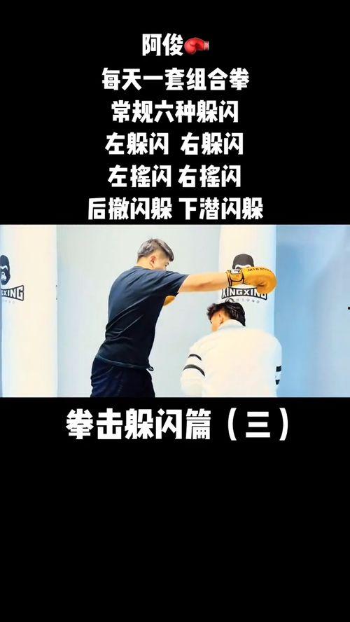 组合拳视频,一招一式，尽展武术魅力