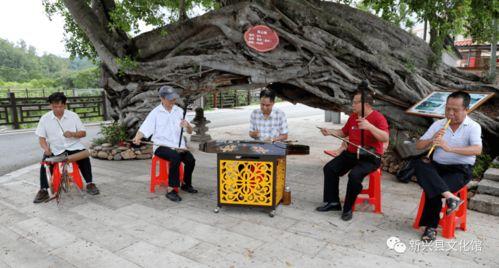 音乐快板舞蹈视频获奖,音乐舞蹈获奖荣耀时刻