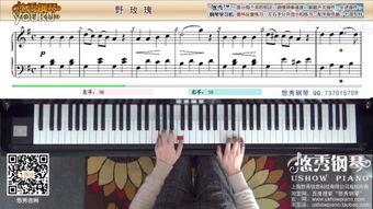 钢琴曲视频教学,轻松入门，掌握经典曲目