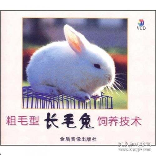 养兔子的视频,跟随视频探索养兔子的乐趣与技巧
