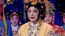 打金枝视频,宫廷争斗背后的权谋与情感纠葛