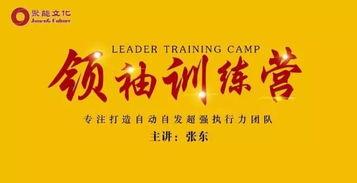 执行力视频,揭秘高效行动力的秘密武器