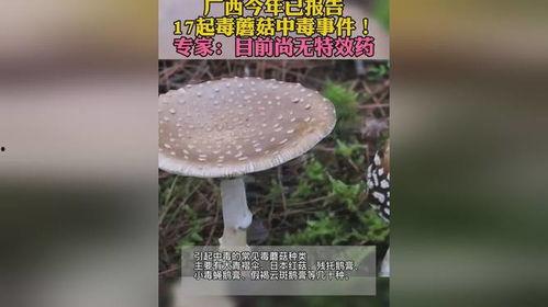 毒蘑菇的视频,视频揭示致命真菌的真相