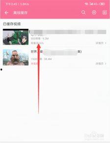 b站下载的视频,揭秘下载视频背后的精彩故事