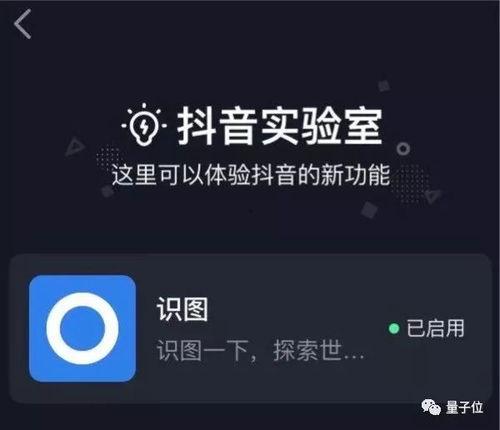 ai小视频,科技与创意的完美融合