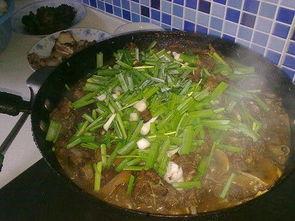 做狗肉视频,视频揭露残酷真相