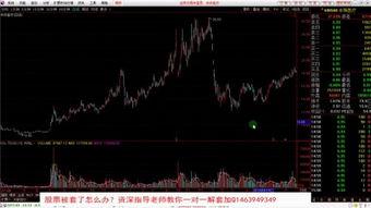 股票教学视频,掌握投资之道