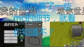 你世界视频,世界视频中的奇妙之旅