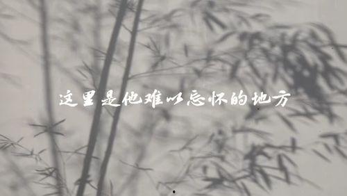 粉墙视频,探寻传统建筑之美