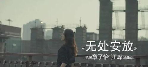 无处安放视频,揭秘现代都市人的心灵困境