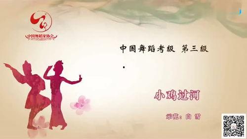 七级考级舞蹈全部视频,七级考级舞蹈视频精华集锦