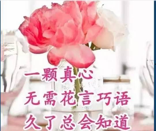 早上好音乐视频,探寻“早上好”音乐视频的魅力之旅