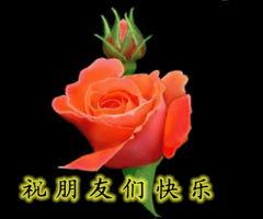 早上好音乐视频,探寻“早上好”音乐视频的魅力之旅