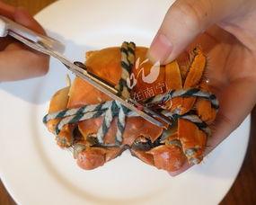 怎么吃螃蟹视频,视频教你如何美味享用