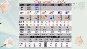 四柱八字视频,视频深度解析人生运势