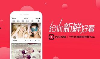 西瓜视频怎样,打造爆款视频的副标题秘籍