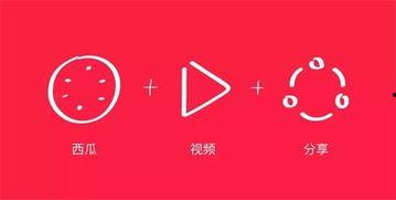 西瓜视频怎样,打造爆款视频的副标题秘籍
