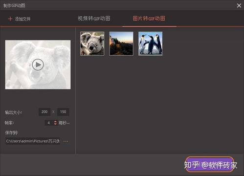 视频动图制作,XX现象背后的奥秘