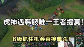 提莫视频,揭秘游戏中的神秘英雄