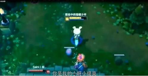 提莫视频,揭秘游戏中的神秘英雄