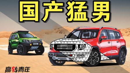 国产车震在线视频,揭秘国产车界激情瞬间