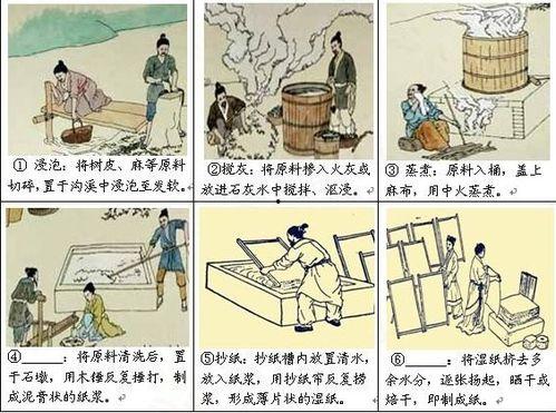 造纸过程视频,从原料到成品的一站式观察
