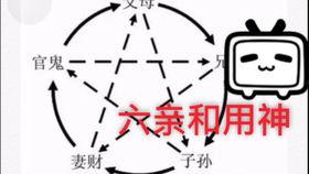 六爻教学视频,跟随教学视频解锁神秘预测术