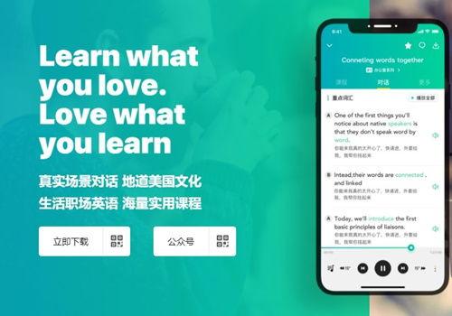 英语交流视频,Capturing Conversational Dynamics: An Overview of English Communication Videos
