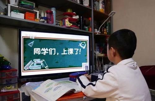 中小学生视频,中小学生日常视频集锦