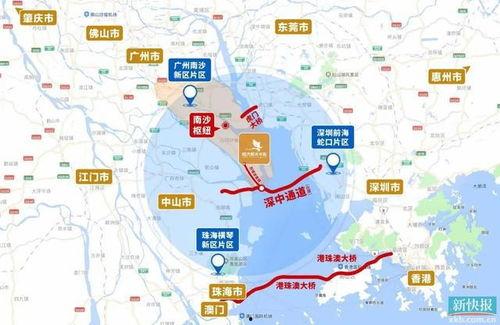 大湾区视频,融合创新，共筑未来新引擎