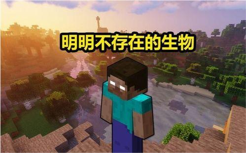 him我的世界视频,我的世界中的神秘传说与冒险之旅