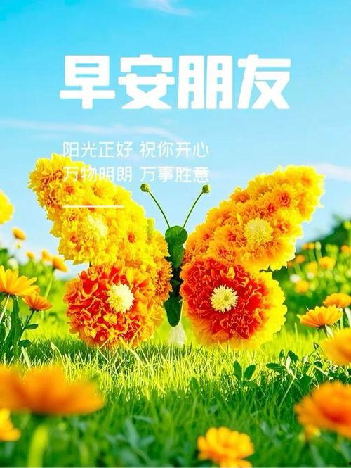 早上好视频图片,探索“早上好”视频的视觉魅力
