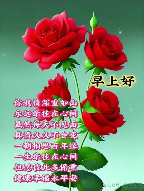 早上好视频图片,探索“早上好”视频的视觉魅力