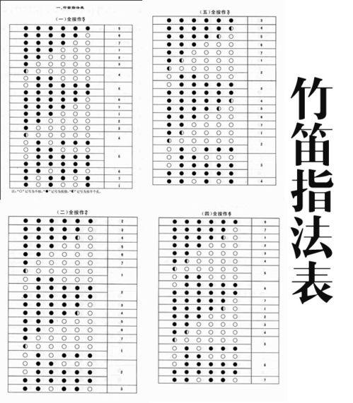 竖笛入门教学视频,入门教学视频精华解析