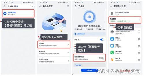 数据恢复视频,视频恢复技术揭秘