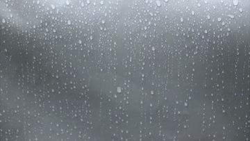 雨滴视频素材,捕捉自然旋律的瞬间