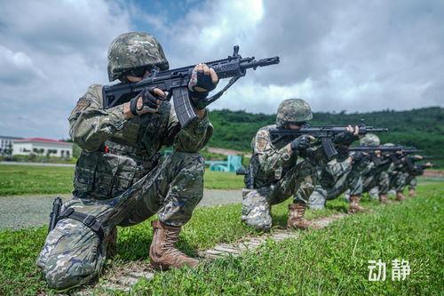 武警训练视频,武警实战训练风采掠影