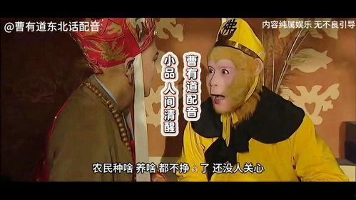 西游记搞笑配音视频,笑料百出，经典重燃！