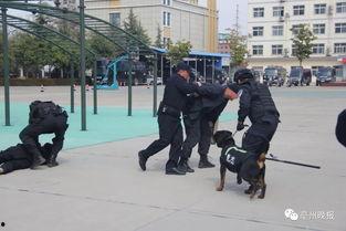 特警演练视频,硬核技能大比拼