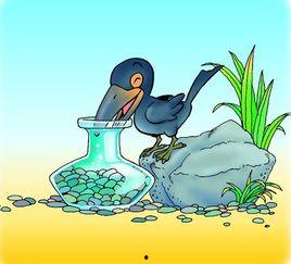 乌鸦的视频,视频揭秘其非凡生存智慧