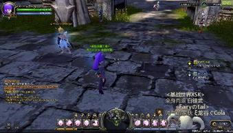 游戏录视频,精彩瞬间一网打尽