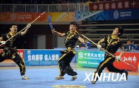 武术双刀视频,武术双刀技巧精粹解析