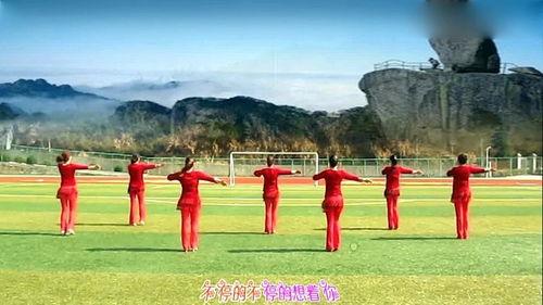 甜蜜蜜舞蹈视频,跟随视频领略舞蹈魅力