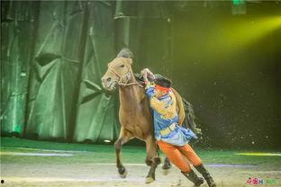 马视频表演,骏马奔腾，舞动激情