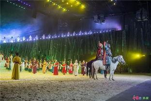 马视频表演,骏马奔腾，舞动激情