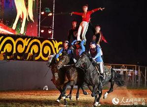 马视频表演,骏马奔腾，舞动激情